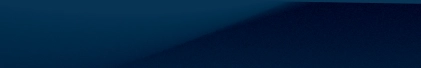 theme color bg