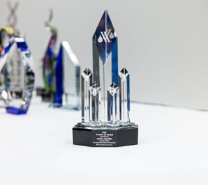 5 Under 35 – Outstanding Young Professional Award