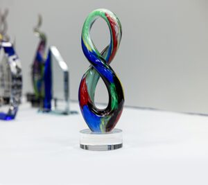 Diversity & Inclusion Award