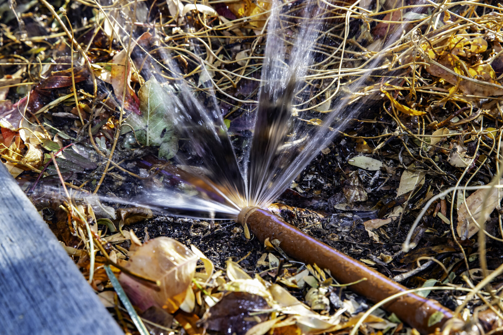 Las Vegas Valley Water District helping customers afford leak repair