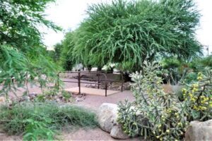 Tucson’s Storm to Shade program creates a cooler city