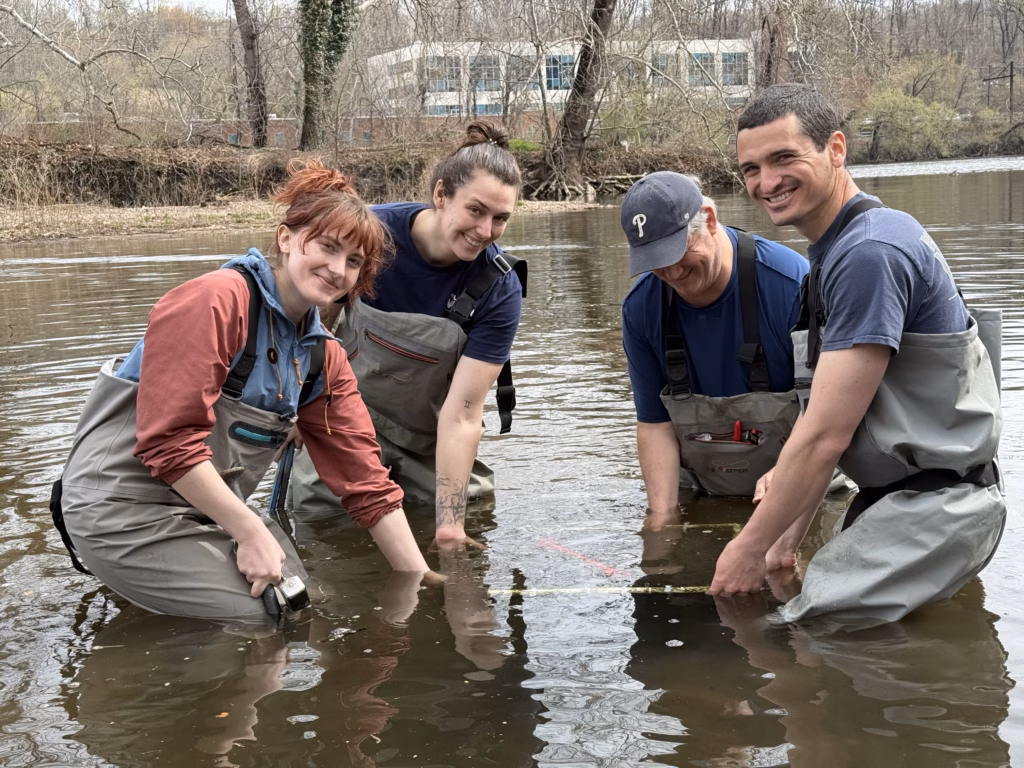 Four water scientists pose for a picture while lowering a cage of mature mussels into a river.