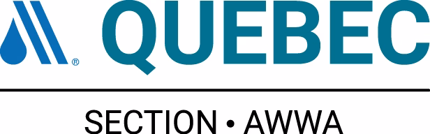 Quebec Section Logo-2026