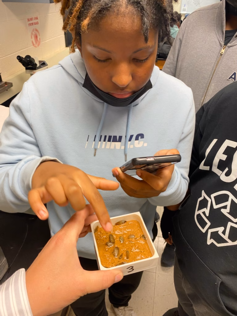 A student observes juvenile mussels in a lab.
