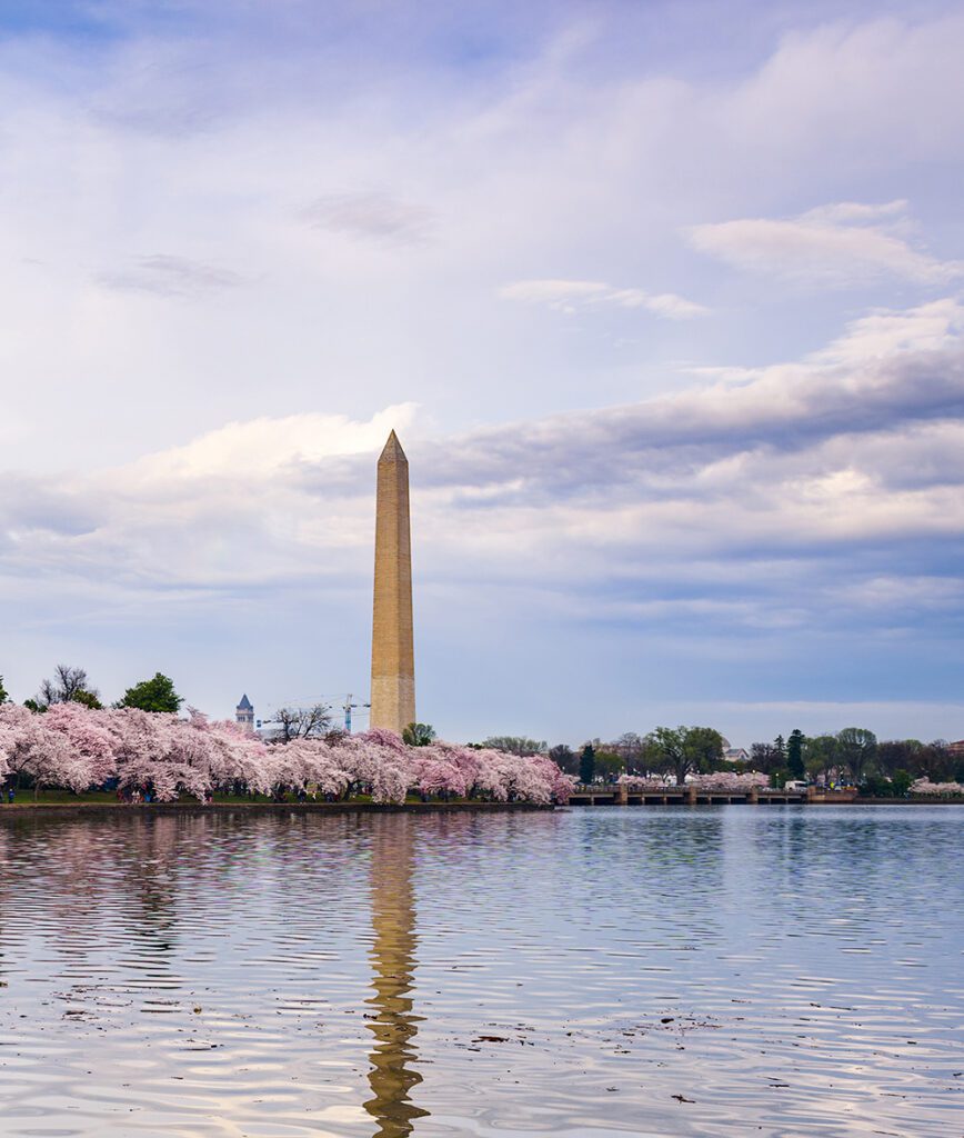 Washington DC
