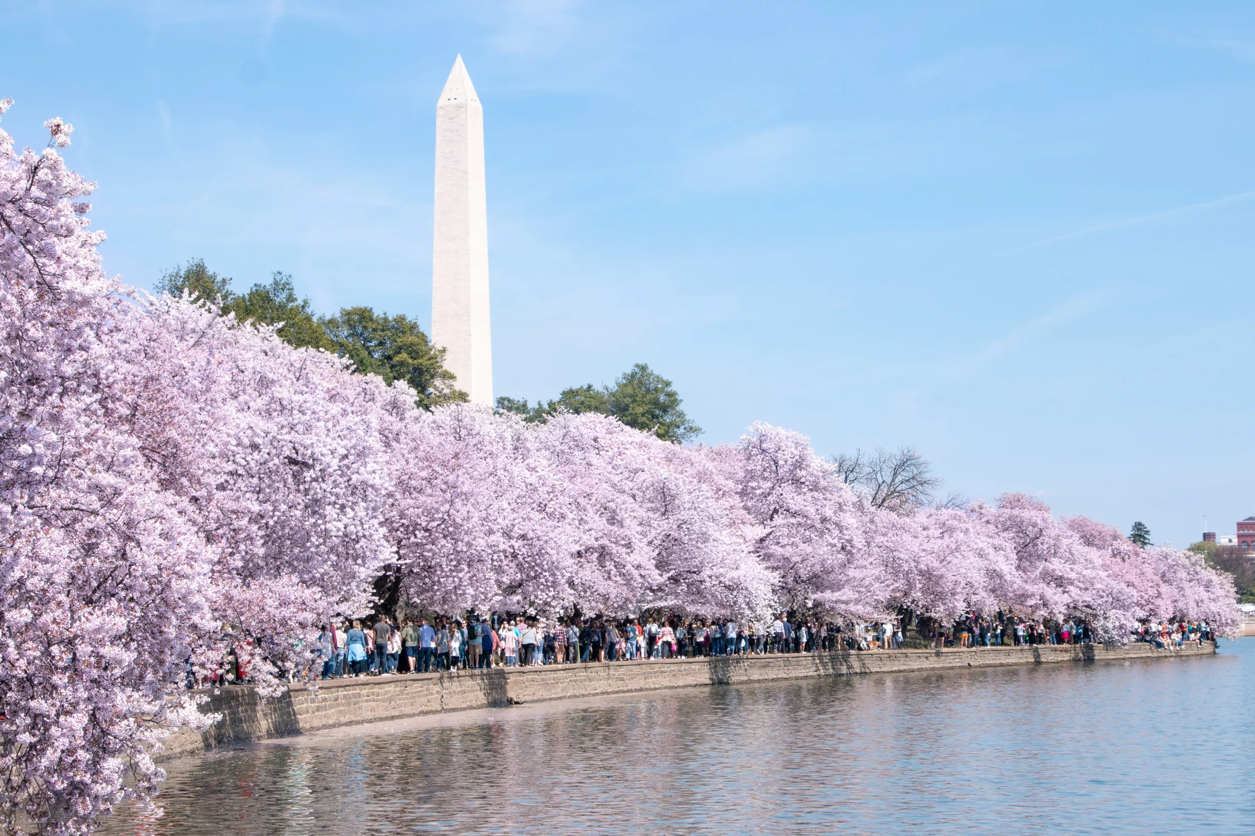 Washington DC 1