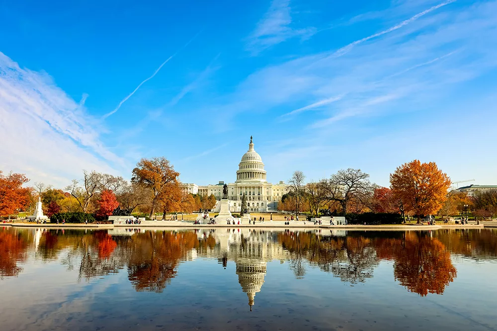 Washington DC 4