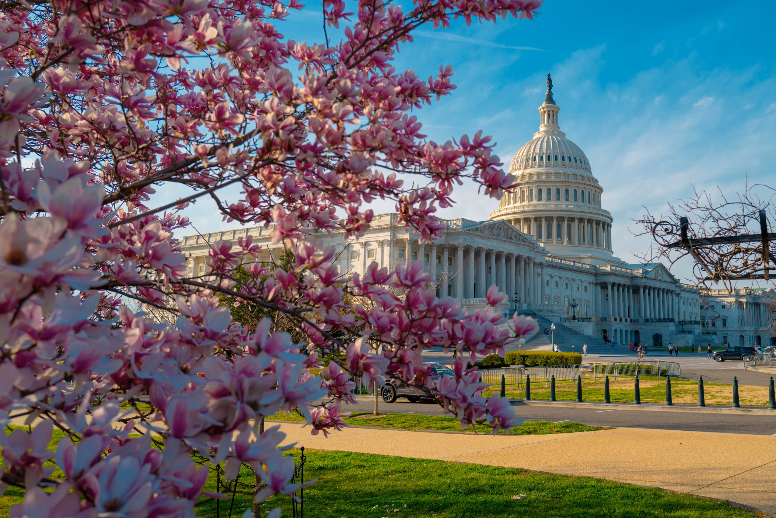 Capitol,Democracy,In,Usa,Washington,Dc,,Capitol,Building,Usa.,Supreme