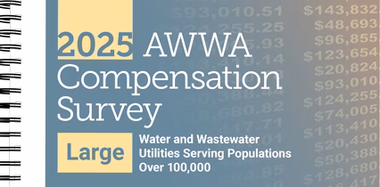 compensation-survey-large-systems-2025