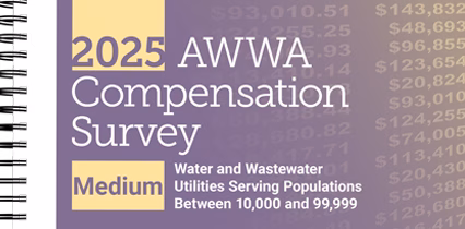 compensation-survey-medium-systems-2025