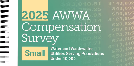 compensation-survey-small-systems-2025
