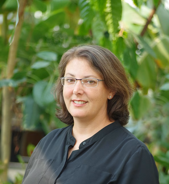 leila-khatib-division-article-winner
